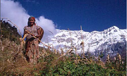 Népal, Daulaghiri